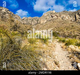 Large Boulders and Rugged Mountains Along The Smith Spring Trail Near The Historic Frijole Ranch, Guadalupe National Park, Texas, USA Stock Photo