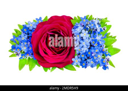 Red rose with forget-me-not flowers isolated on white background Stock Photo