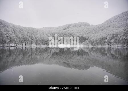 View of Lake Balkana and the surrounding area covered with snow. Lake Balkana is located at the foot of Mount Lisina, at about 700 meters above sea level, bordered by pastures, oak and conifer forests, and is about five kilometers west of Mrkonjic Grad and the most popular is a picnic spot in this part of Bosnia and Herzegovina. It consists of two artificial lakes (Big and Small) that were created by damming the headwaters of Crna Rijeka, and cover an area of about 56,000 square meters, in  Bosnia and Herzegovina, on  January 23, 2023.  Photo: Dejan Rakita/PIXSELL Stock Photo