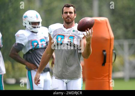 Miami Dolphins tight end Durham Smythe (81) runs during an NFL football  game against the San Francisco 49ers, Sunday, Dec.4, 2022, in Santa Clara,  Calif. (AP Photo/Scot Tucker Stock Photo - Alamy