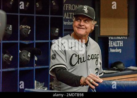 Chicago White Sox manager Tony La Russa looks out of the dugout during a  baseball game against the Cincinnati Reds Wednesday, Sept. 29, 2021, in  Chicago. (AP Photo/Charles Rex Arbogast Stock Photo 