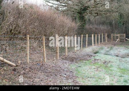 new fencing in a field Stock Photo