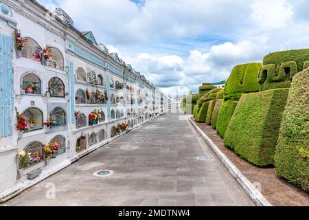 Tulcan, Ecuador - October 8, 2022: cemetery with green sculptures made of plants Stock Photo