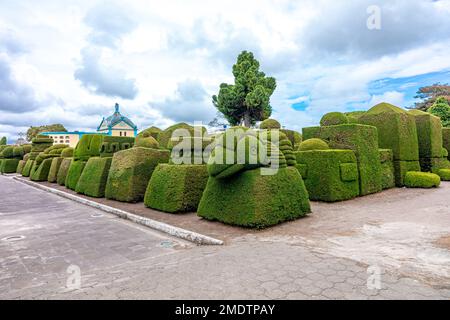 Tulcan, Ecuador - October 8, 2022: cemetery with green sculptures made of plants Stock Photo