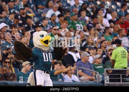 Philadelphia Eagles mascot Swoop, dressed as Batman, looks on during the  NFL football game against the Jacksonville Jaguar, Sunday, Oct. 2, 2022, in  Philadelphia. (AP Photo/Chris Szagola Stock Photo - Alamy