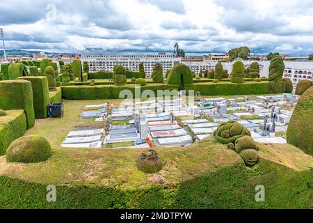 Tulcan, Ecuador - October 8, 2022: cemetery with green sculptures made of plants Stock Photo