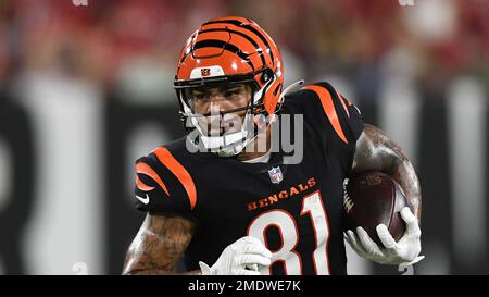 Cincinnati Bengals tight end Thaddeus Moss (81) reacts after his touchdown  is waived off as incomplete during a preseason NFL football game against  the Los Angeles Rams Saturday, Aug. 27, 2022, in