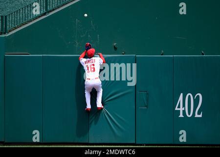 Washington Nationals' Victor Robles climbs the steps to the dugout