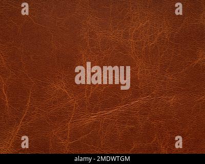 Genuine brown leather. Natural material with design lines. Pattern or abstract background. Genuine leather texture. Use wallpaper or backdrop luxury Stock Photo