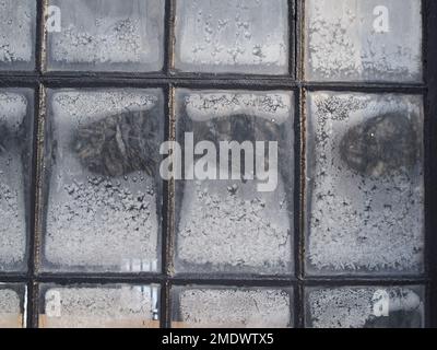 Old checkered window with small frosted panes of an industrial building in winter. Stock Photo