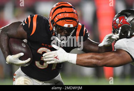 Arizona Cardinals safety Tae Daley (48) in action as the Arizona Cardinals  played the Cincinnati Bengals in an NFL football preseason game in  Cincinnati, Friday, Aug. 12, 2022. The Cardinals won 36-23. (