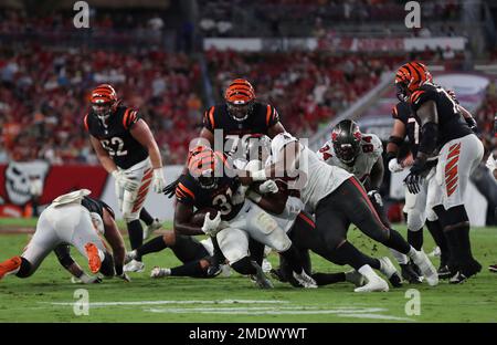 Arizona Cardinals safety Tae Daley (48) in action as the Arizona Cardinals  played the Cincinnati Bengals in an NFL football preseason game in  Cincinnati, Friday, Aug. 12, 2022. The Cardinals won 36-23. (