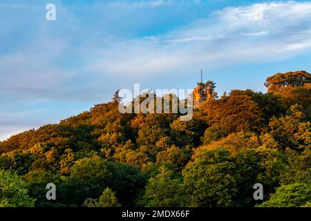 The Hunting Tower at Chatsworth in Derbyshire England UK built1582  by Robert Smythson for Bess of Hardwick, surrounded by the trees of Stand Wood. Stock Photo