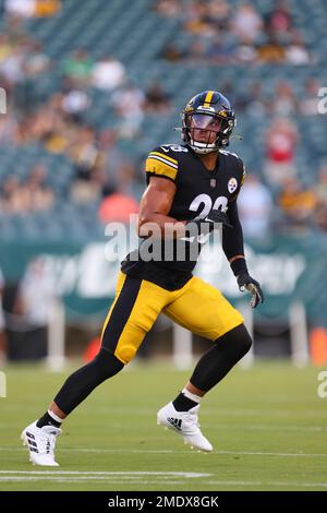 Pittsburgh Steelers' Miles Killebrew (28) in action before a pre