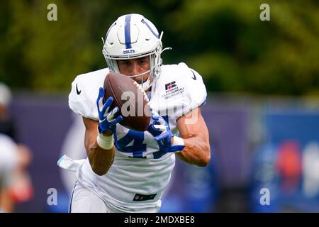 Indianapolis Colts tight end Farrod Green (41) in action against