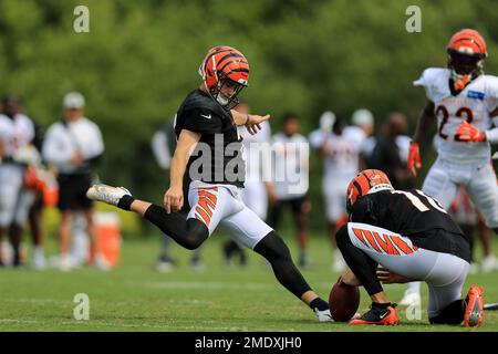 Kevin Huber, Number 10, Cincinnati Bengals., Jeffrey Beall