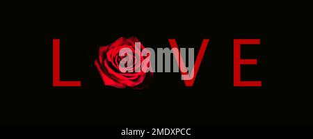 Red rose with text love on a black background. Valentines day concept. Stock Photo
