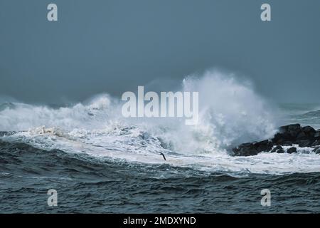 Big waves with stormy weather.  Stock Photo