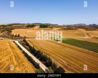 Aerial view of dirt roads through huge grain fields in the morning in summertime. Burgos, Spain Stock Photo