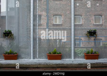 Recently planted flower boxes within the precincts of HMP Liverpool, also known as Walton Prison. The prison was given a scathing report in 2017 which pointed out various failings and problems. Present governor Pia Sinha was appointed in that year and in the next two years she turned the prison around with a programme of improvements and support for inmates and infrastructure. HMP Liverpool houses a maximum of 700 prisoners with an overall staff of around 250. Stock Photo