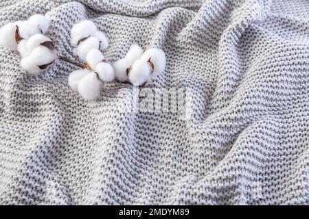 Cozy grey blanket with cotton flowers and copy space Stock Photo