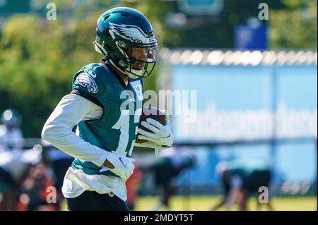 Philadelphia Eagles wide receiver Travis Fulgham (13) reacts after a 4-yard  touchdown reception during an NFL football game against the Pittsburgh  Steelers, Sunday, Oct. 11, 2020, in Pittsburgh. (AP Photo/Justin Berl Stock