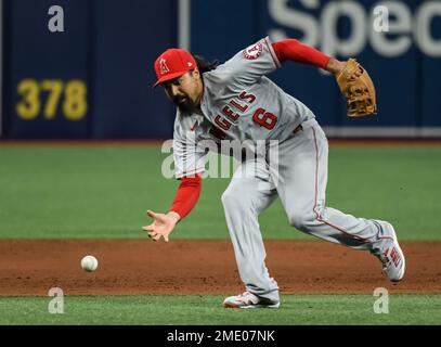 Anthony Rendon has fractured tibia, Angels didn't announce it