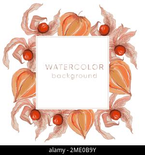 Watercolor background with physalis: plant and fruit. Tomatillo. Superfood. Vector hand drawn illustration Stock Vector
