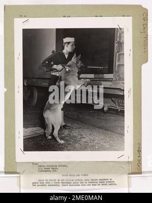 Coast Guard Dog Patrol. This image depicts a German shepherd on guard with a Coast Guardsman checking empty boxcars for possible saboteurs. Stock Photo