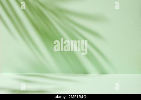 Abstract tropic mint-colored background with soft palm tree shadows like a mockup or product presentation template. High quality photo Stock Photo
