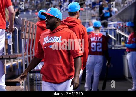 Marlins bench coach James Rowson