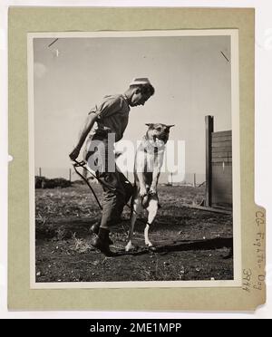 Coast Guard Fighter Dog. This image depicts a Coast Guardsman and his German Shepherd in training for patrol duty on some far South Pacific Island. Stock Photo