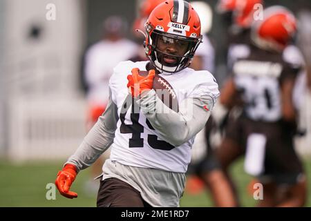 Cleveland Browns running back John Kelly Jr. (41) runs with the ball during  an NFL preseason football game against the Chicago Bears, Saturday Aug. 27,  2022, in Cleveland. (AP Photo/Kirk Irwin Stock