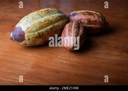 Cocoa pods arranged on a table with copy space below Stock Photo