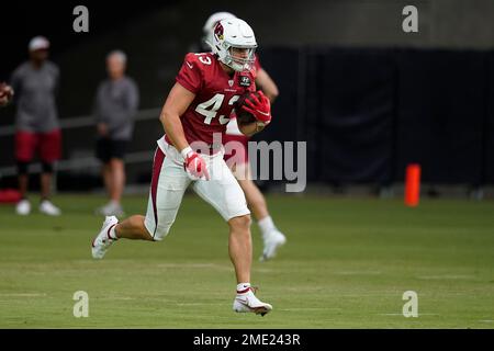 Arizona Cardinals tight end Bernhard Seikovits (43), of Austria