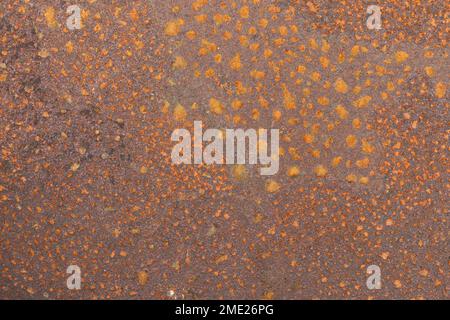 A closeup of the rusty metal surface for backgrounds and overlays Stock Photo