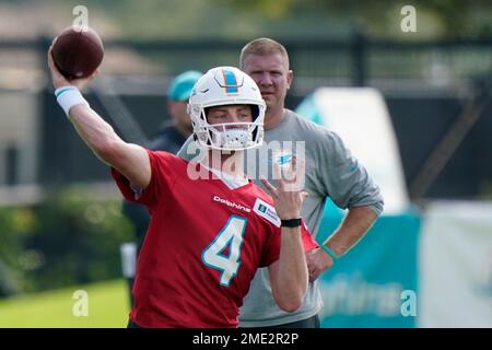 Miami Dolphins quarterback Reid Sinnett (4) prepares to throw the ball on  the field before the start of an NFL football game against the Indianapolis  Colts, Sunday, Oct. 3, 2021, in Miami