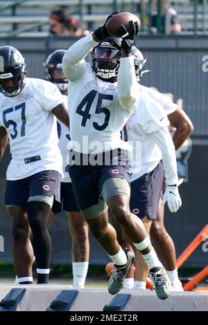 CHICAGO, IL - AUGUST 29: Chicago Bears linebacker Joel Iyiegbuniwe (45) Chicago  Bears tight end Elli