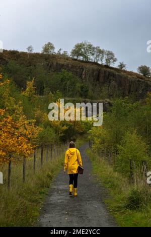 A vertical back view of a female walking in a park wearing a yellow raincoat Stock Photo