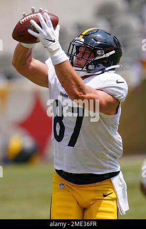 Pittsburgh Steelers tight end Kevin Rader (87) watches from the sideline in  the second half of a preseason NFL football game against the Tennessee  Titans Sunday, Aug. 25, 2019, in Nashville, Tenn. (