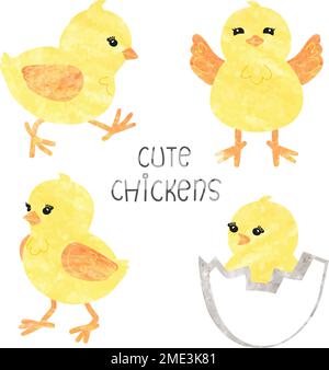 Set of cute little chickens in different poses. Funny yellow chicks isolated on white. Vector illustration. Stock Vector