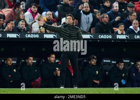 Valencia, Spain.. 23rd Jan, 2023. Spanish La Liga: Valencia v Almeria. UD Almeria head coach Joan Francesc Ferrer Sicilia Credit: saolab/Alamy Live News Stock Photo