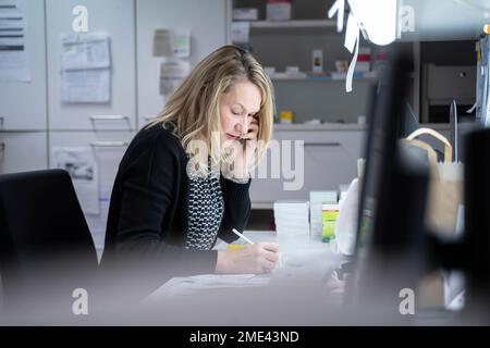 Woman talking on smart phone sitting at desk Stock Photo