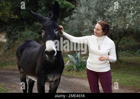 Smiling woman stroking donkey standing in garden Stock Photo