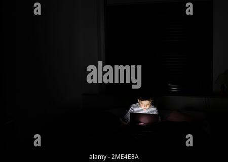 Boy using laptop at home Stock Photo