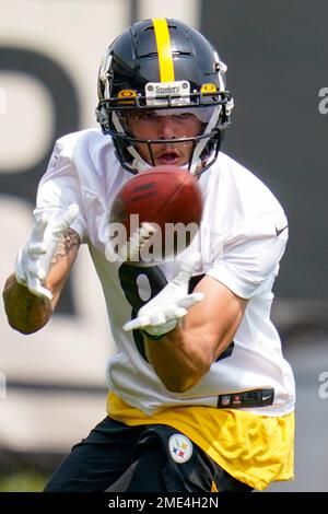 WR Rico Bussey 'Steals the Show' at Steelers Practice