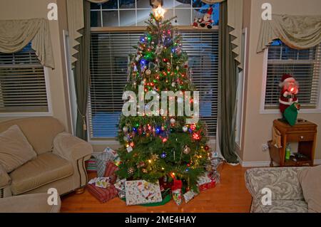 Live Christmas tree Stock Photo