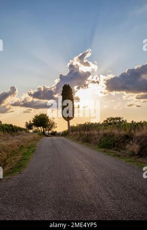 Empty road amidst field under cloudy sky Stock Photo - Alamy
