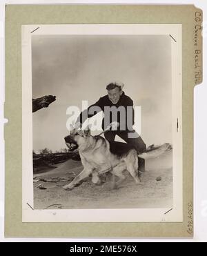 Coast Guard Canine Beach Patrol. This image depicts a Coast Guard patrol dog savagely trying to attack his tormentor. Stock Photo