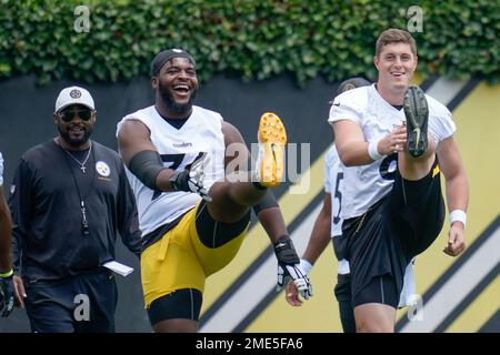 Pittsburgh Steelers tight end Zach Gentry (81) walks on the